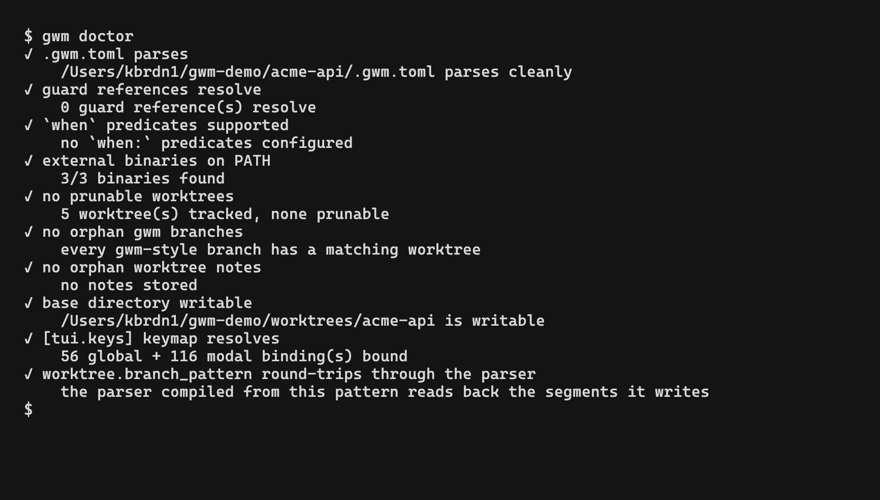 gwm doctor output: eight checks, each passing, with the detail line under it